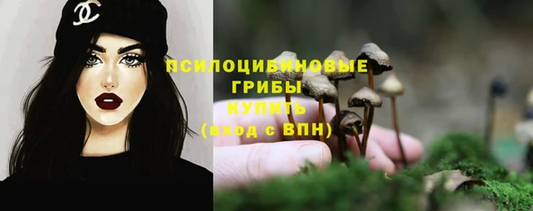 ECSTASY Белоозёрский