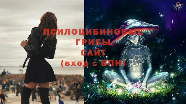 ECSTASY Белоозёрский