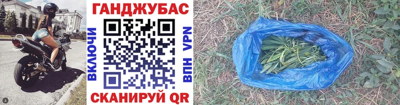 Бошки Шишки план  Няндома 